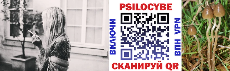 Купить закладки  Копейск  Галлюциногенные грибы прущие грибы 